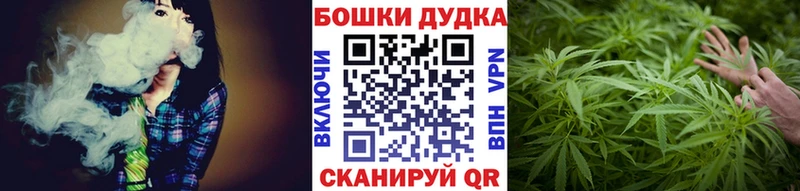 Какие есть наркотики Новомосковск Экстази  Марихуана  Alpha-PVP  ГАШ  МЕФ  KRAKEN вход  КОКАИН 